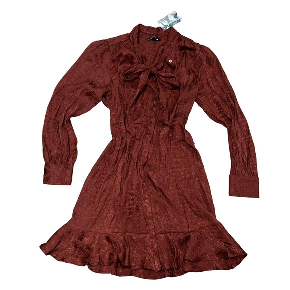 Express Dresses & Skirts - Express Rusty Ruffle Long Sleeve Dress Size Medium